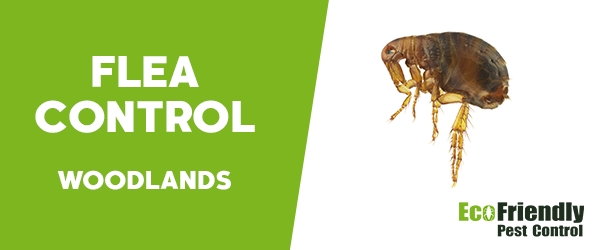 Fleas Control Woodlands  