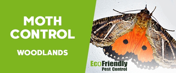 Moth Control Woodlands  