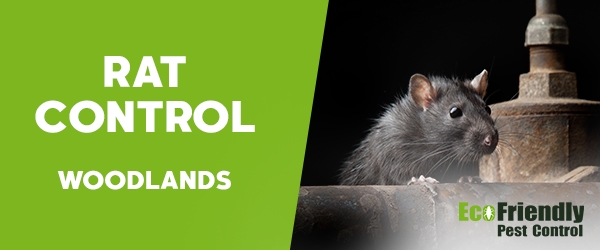 Rat Pest Control Woodlands  