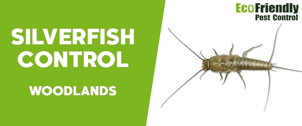 Silverfish Control Woodlands  