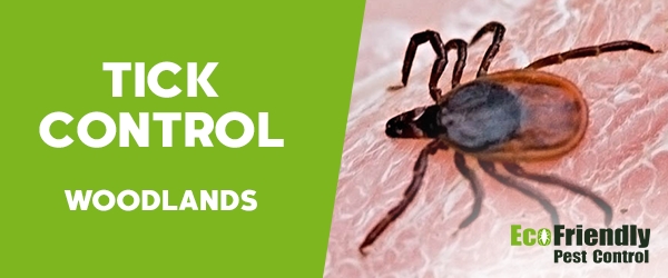 Ticks Control Woodlands  