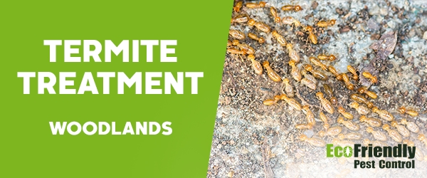 Termite Control Woodlands  