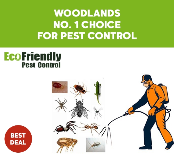 Pest Control Woodlands 