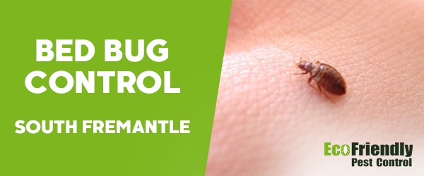 Bed Bug Control  South Fremantle 