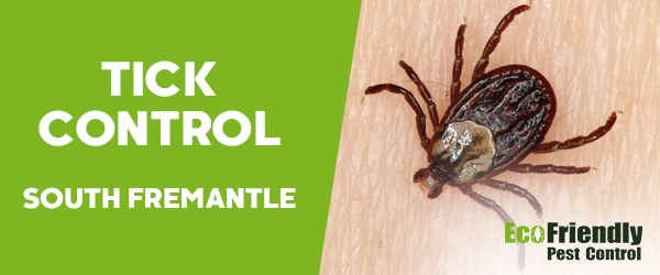 Ticks Control  South Fremantle 