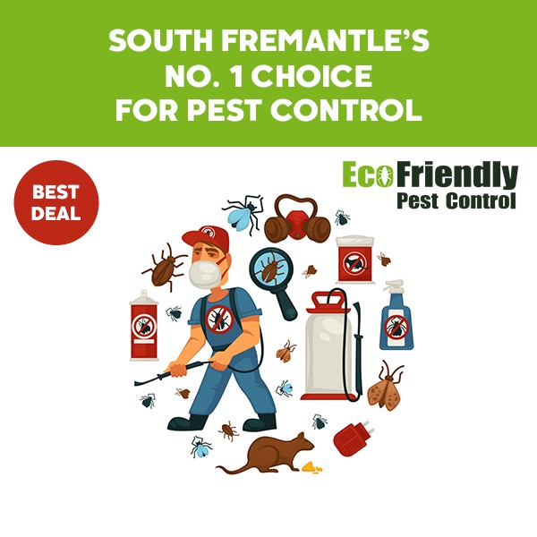 Pest Control South Fremantle