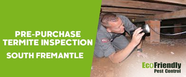 Pre-purchase Termite Inspection  South Fremantle 