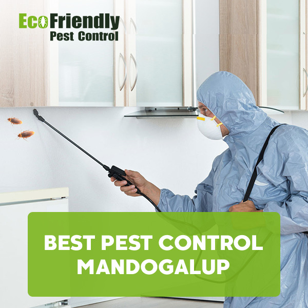 Best Pest Control Mandogalup