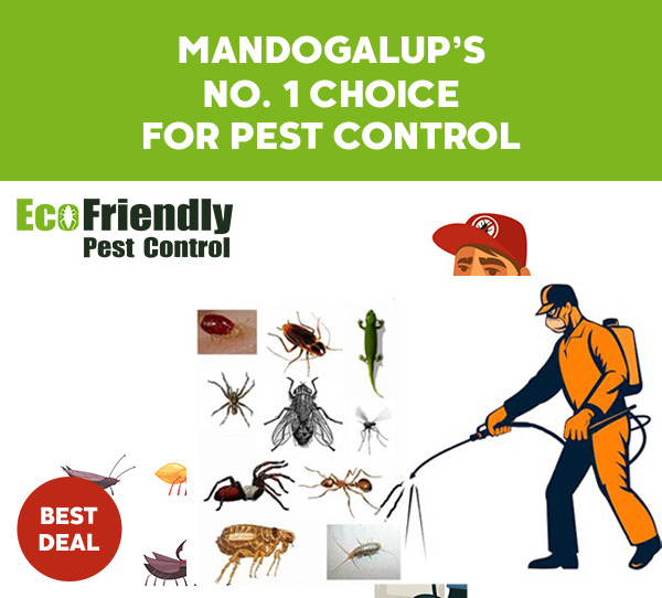 Pest Control Mandogalup