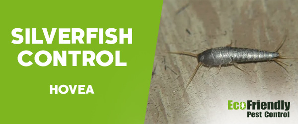 Pest Control Hovea