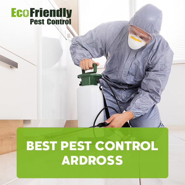 Best Pest Control Ardross
