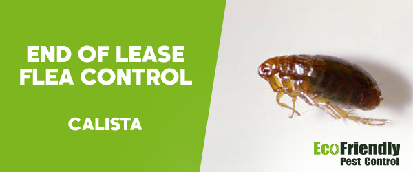 Pest Control Calista