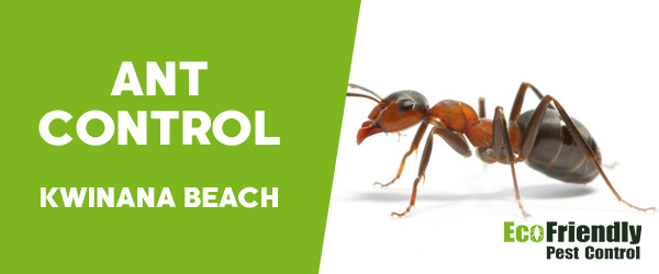 Ant Control Kwinana Beach