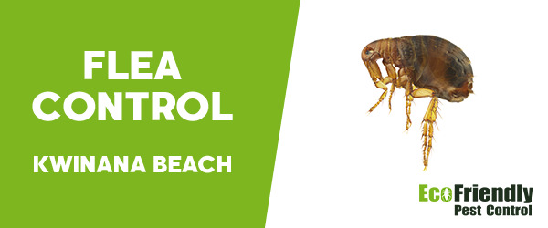 Pest Control Kwinana Beach