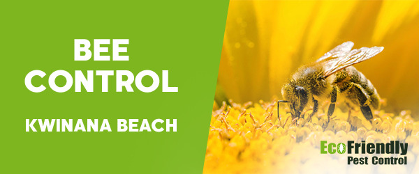 Pest Control Kwinana Beach