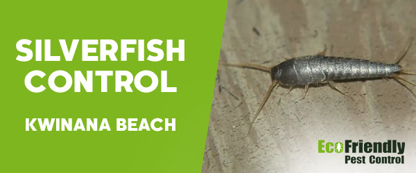 Pest Control Kwinana Beach