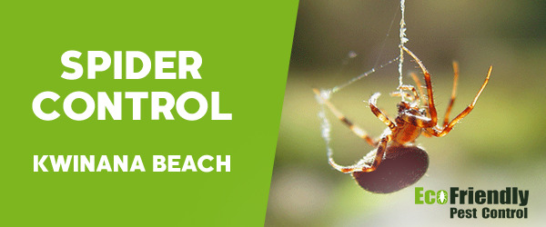 Pest Control Kwinana Beach