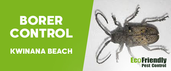 Pest Control Kwinana Beach