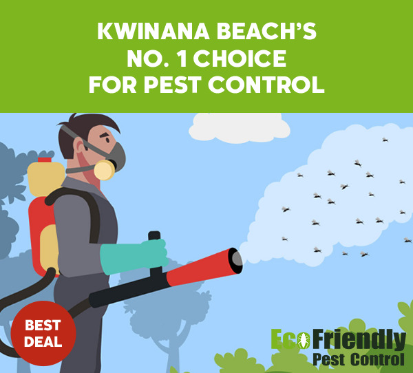 Pest Control Kwinana Beach