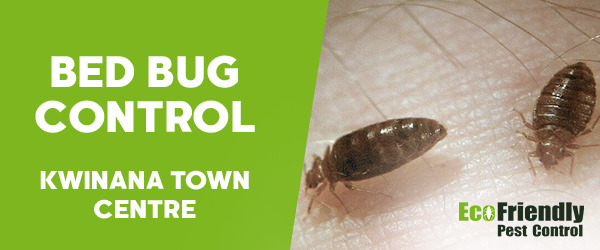 Bed Bug Control Kwinana Town Centre