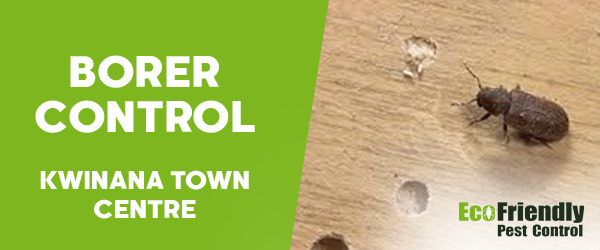 Pest Control Kwinana Town Centre