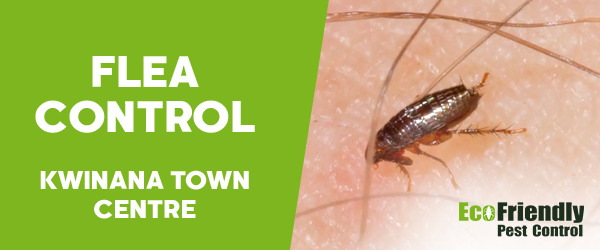 Pest Control Kwinana Town Centre