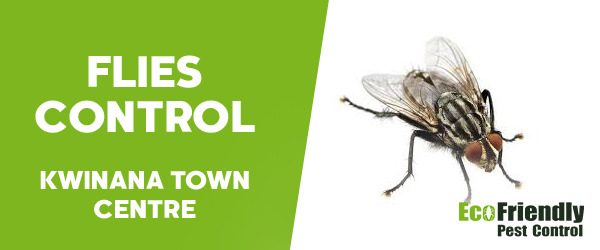 Pest Control Kwinana Town Centre