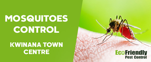 Pest Control Kwinana Town Centre