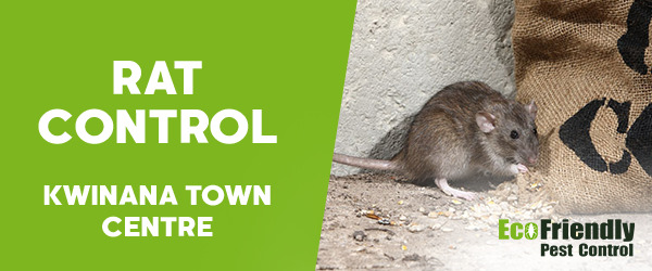 Pest Control Kwinana Town Centre