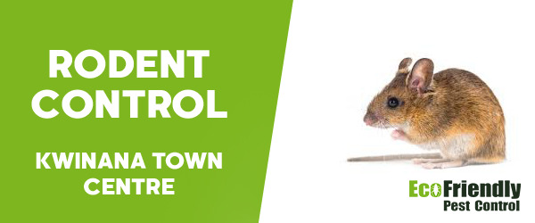 Pest Control Kwinana Town Centre