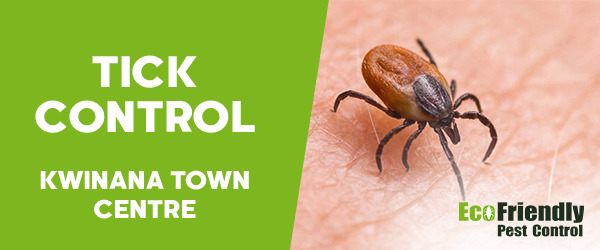 Pest Control Kwinana Town Centre