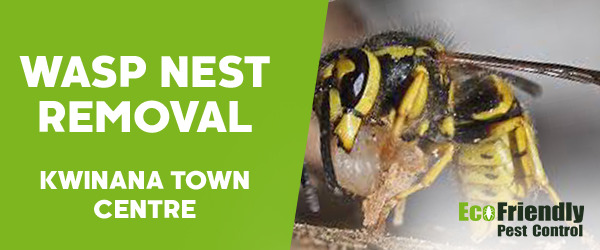 Pest Control Kwinana Town Centre