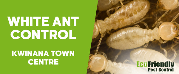 Pest Control Kwinana Town Centre