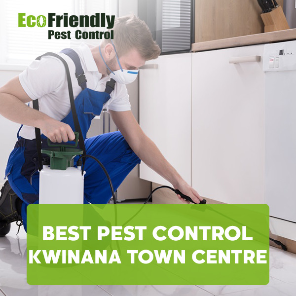 Best Pest Control Kwinana Town Centre