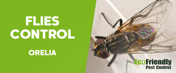 Pest Control Orelia