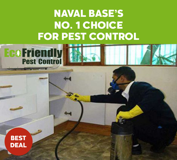 Pest Control Naval Base