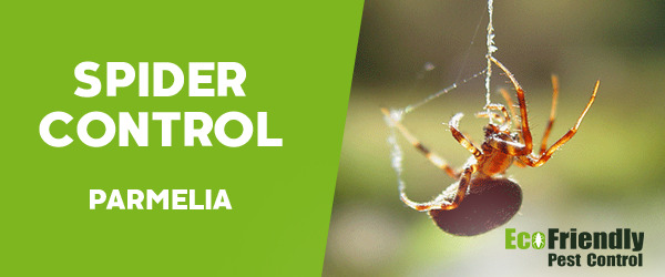 Pest Control Parmelia