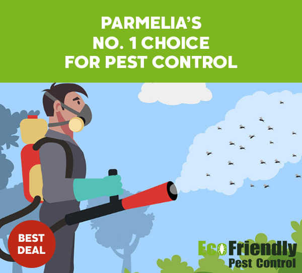 Pest Control Parmelia