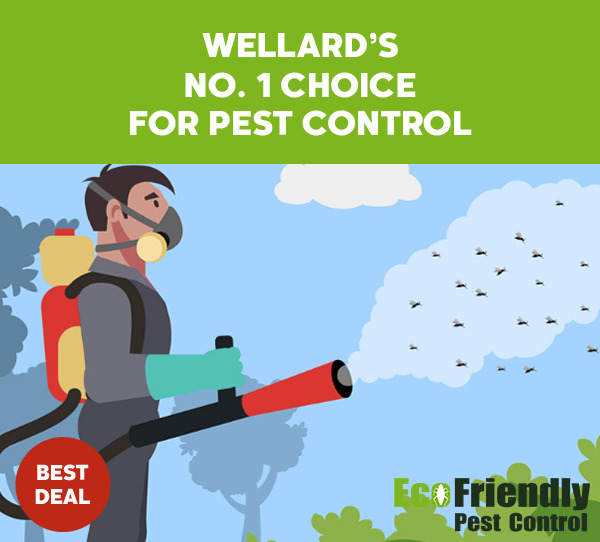 Pest Control Wellard