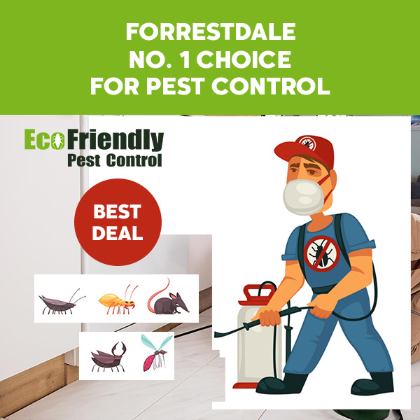 Pest Control Forrestdale
